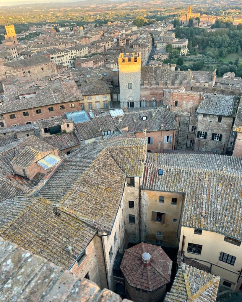 panorama di Siena dal Facciatone