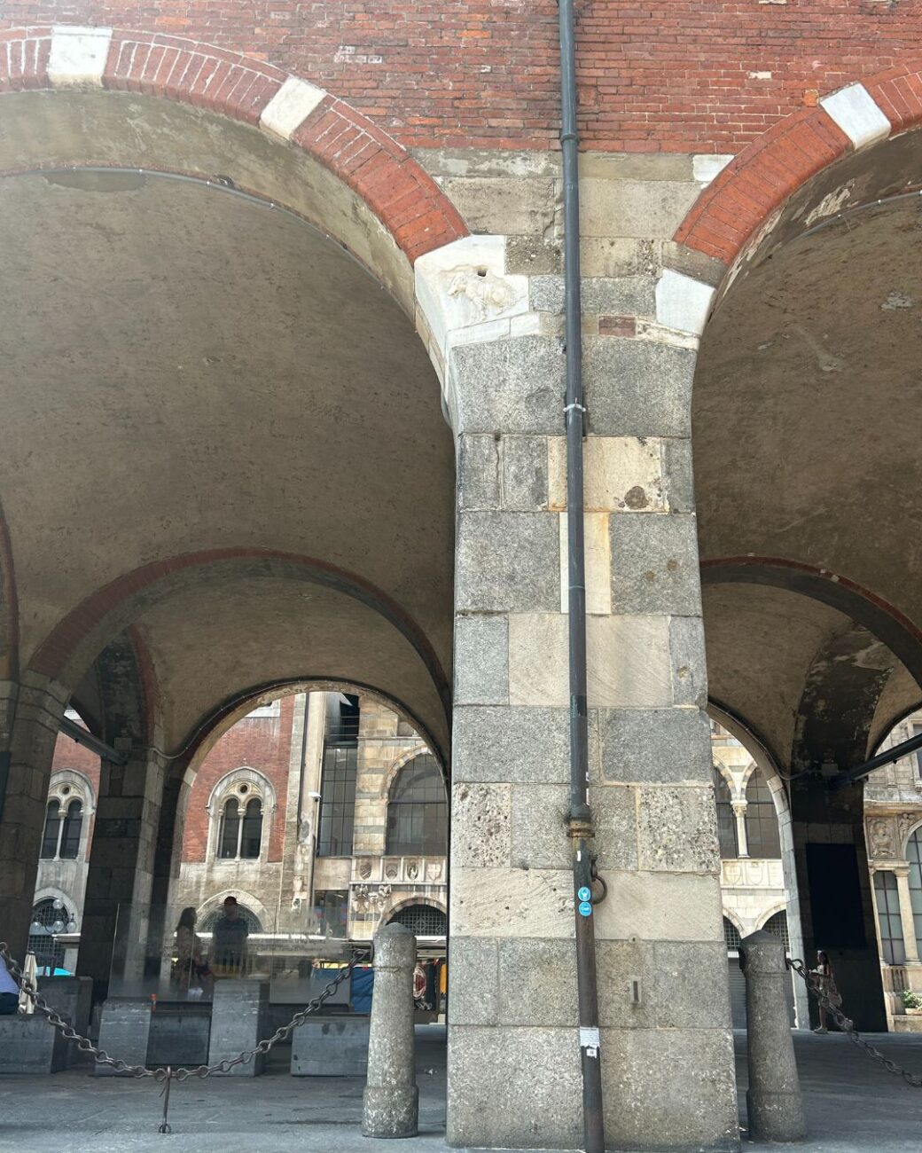 la ascrofa semilanuta su palazzo della Ragione a Milano 