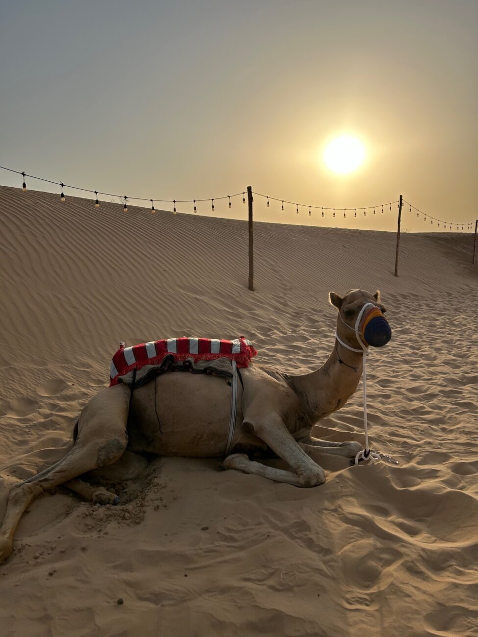 Deserto di Dubai, una delle tappe del mio viaggio itinerante